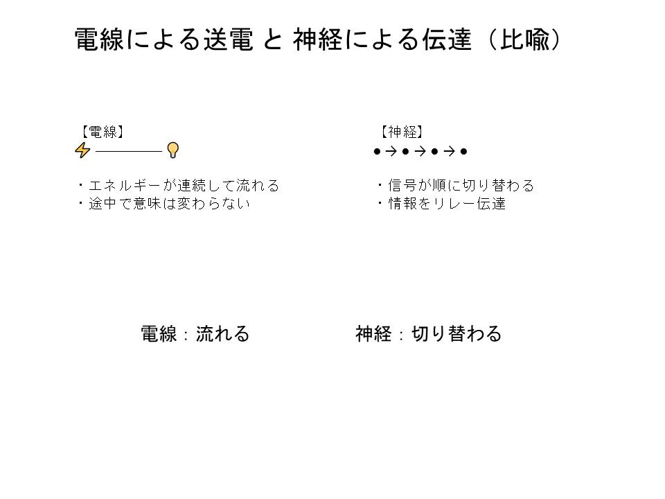 雑感　電線における送電と神経における伝達  ― 人工システムと生体システムの「情報とエネルギーの流し方」 ―
