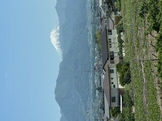 今年の社員旅行は、山梨でした。