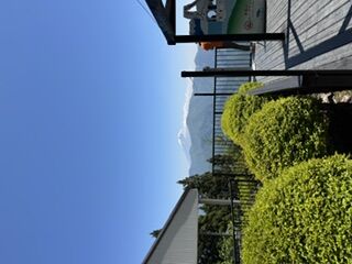 今年の社員旅行は、山梨でした。